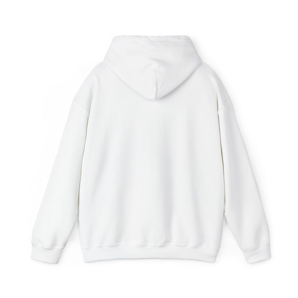 Inspirational Quote Hoodie — "Every Day We Choose: Love or Hate, Healing or Hurt, Light or Darkness"