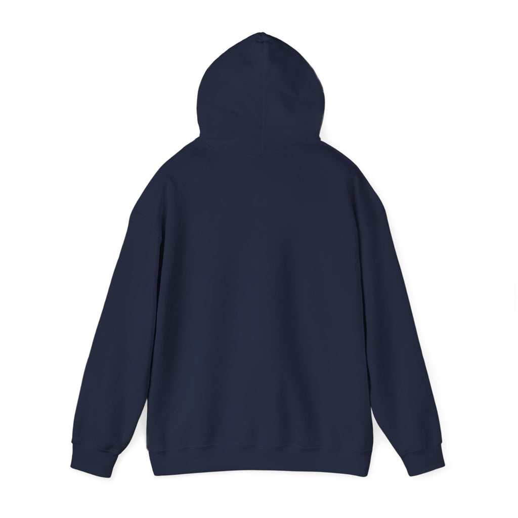 Inspirational Quote Hoodie — "Every Day We Choose: Love or Hate, Healing or Hurt, Light or Darkness"