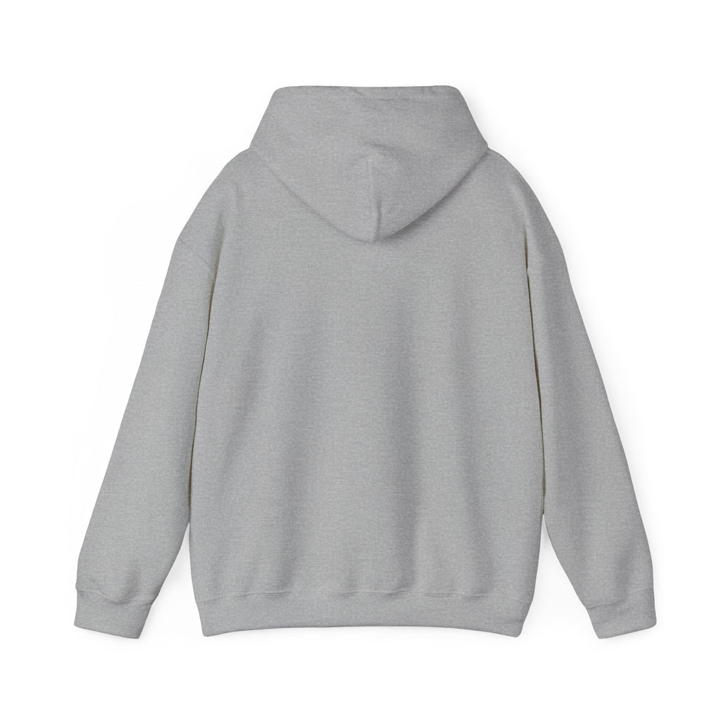 Inspirational Quote Hoodie — "Every Day We Choose: Love or Hate, Healing or Hurt, Light or Darkness"