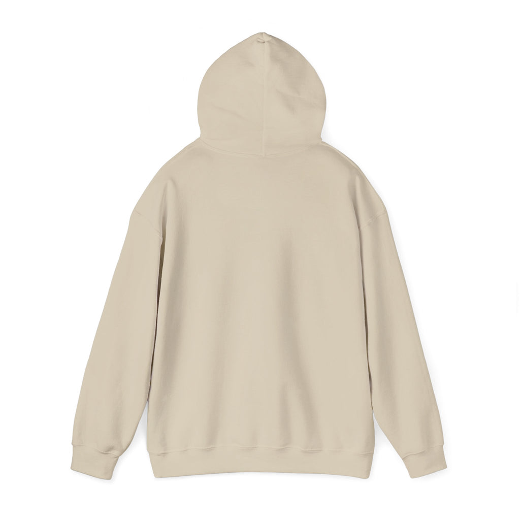 Inspirational Quote Hoodie — "Every Day We Choose: Love or Hate, Healing or Hurt, Light or Darkness"