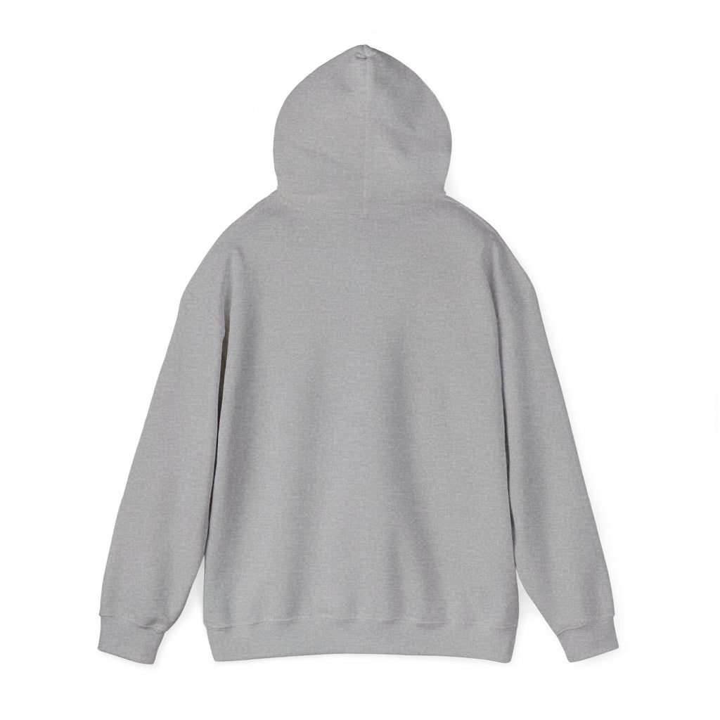 Inspirational Quote Hoodie — "Every Day We Choose: Love or Hate, Healing or Hurt, Light or Darkness"