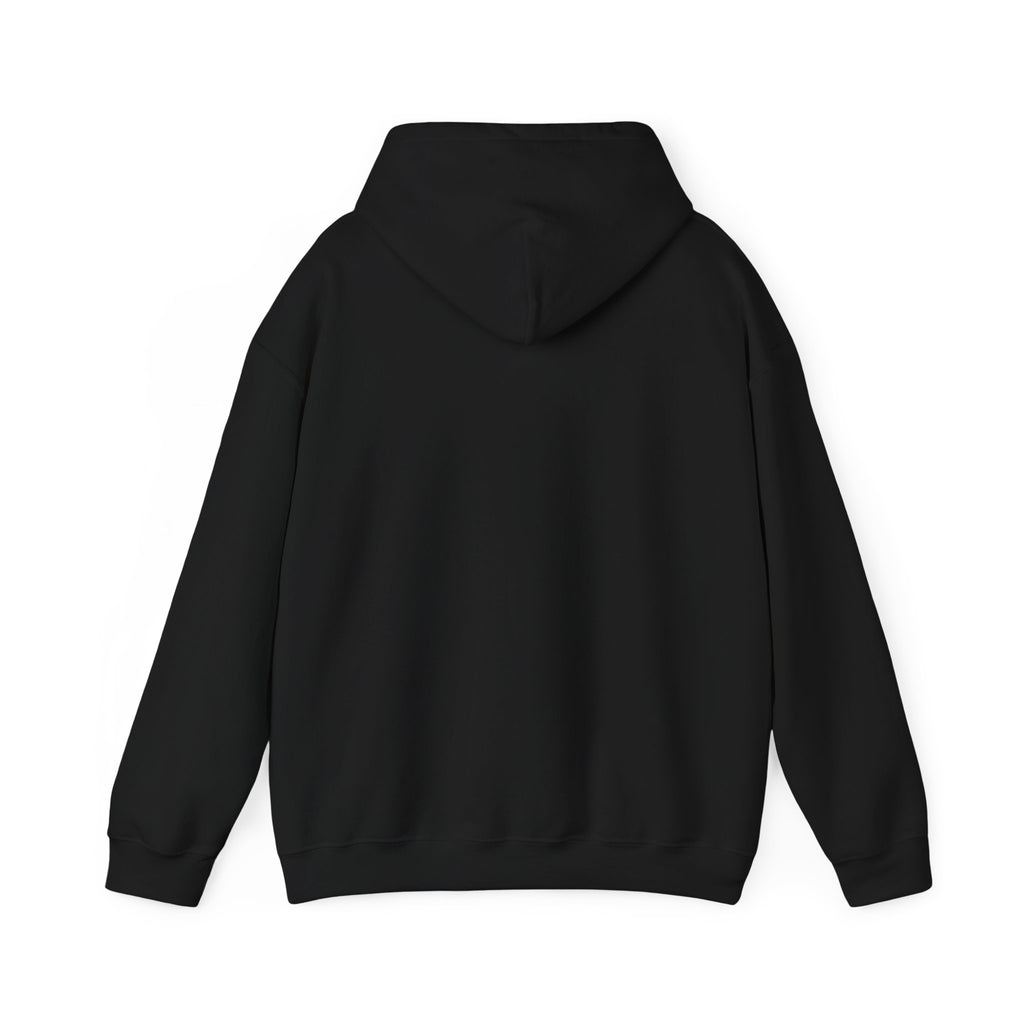 Inspirational Quote Hoodie — "Every Day We Choose: Love or Hate, Healing or Hurt, Light or Darkness"