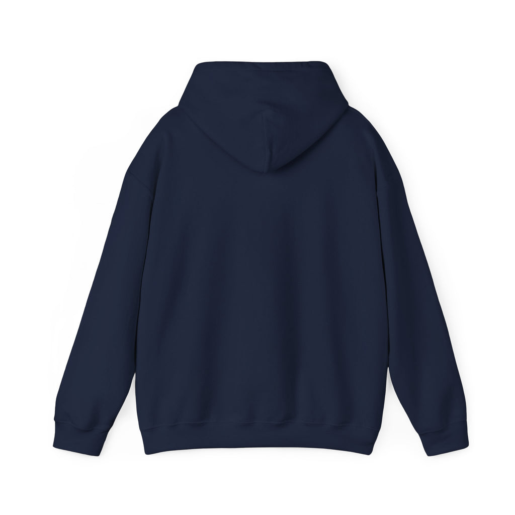 Inspirational Quote Hoodie — "Every Day We Choose: Love or Hate, Healing or Hurt, Light or Darkness"